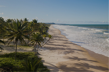 Beaches
